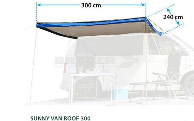 SUNNY VAN ROOF 300