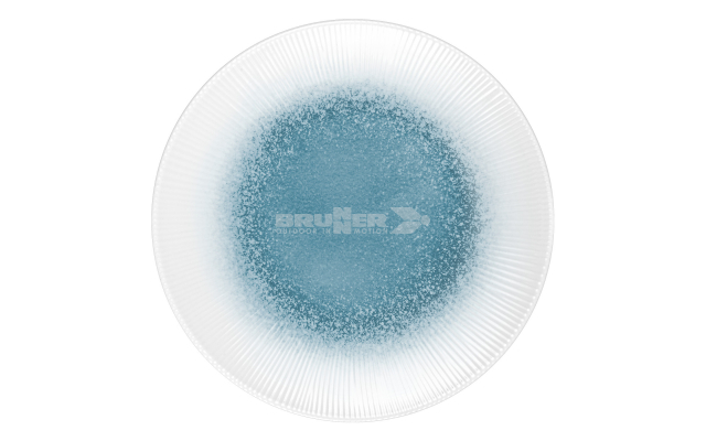 ASSIETTE PLATE Ø 25 CM