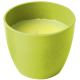 CITRONELLA CANDLE