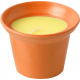 CITRONELLA CANDLE