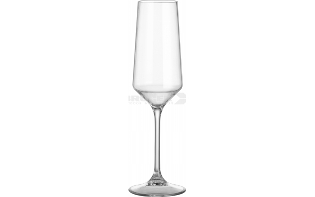 PROSECCO GLASS