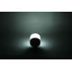 GLOBE LED